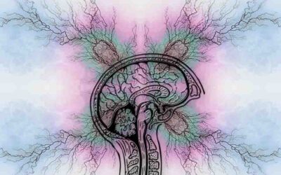 Trastorno por Déficit de Atención e Hiperactividad (TDAH)